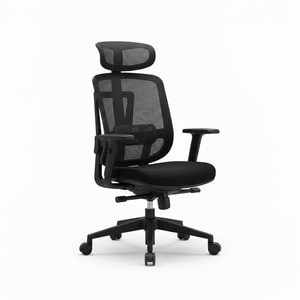 Mesh ergonomic chair