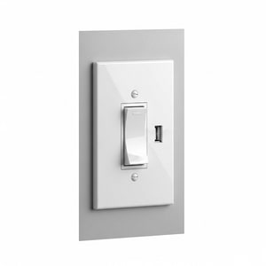 Wall switch + USB socket