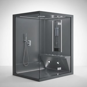 Multifunction computerized shower room