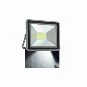 100W IP66 LED floodlight