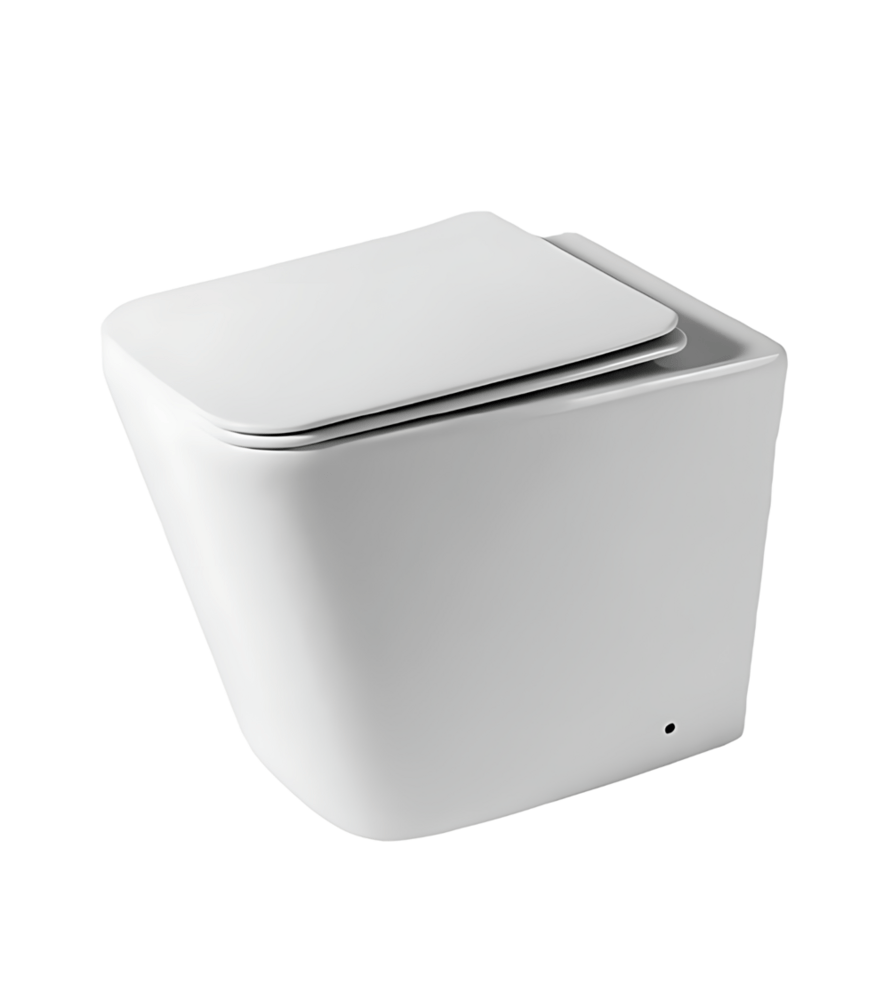 Bồn cầu đặt sàn Bravat C21255UW