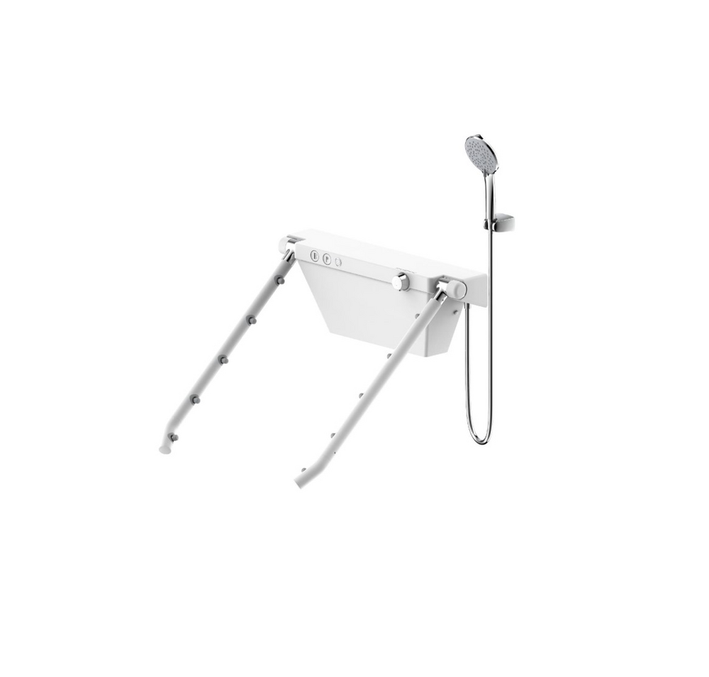 Ghế sen tắm cầm tay Bravat F00578WM-1
