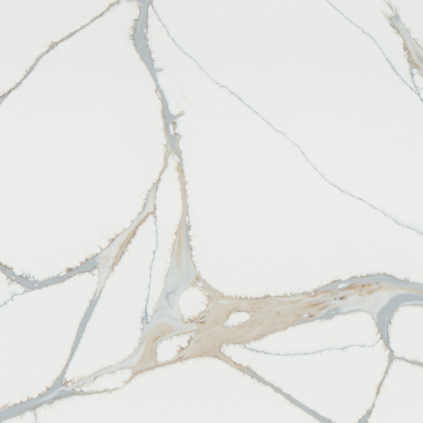 White Calacatta with gray veining (PXQZ220723-1) thumbnail 2