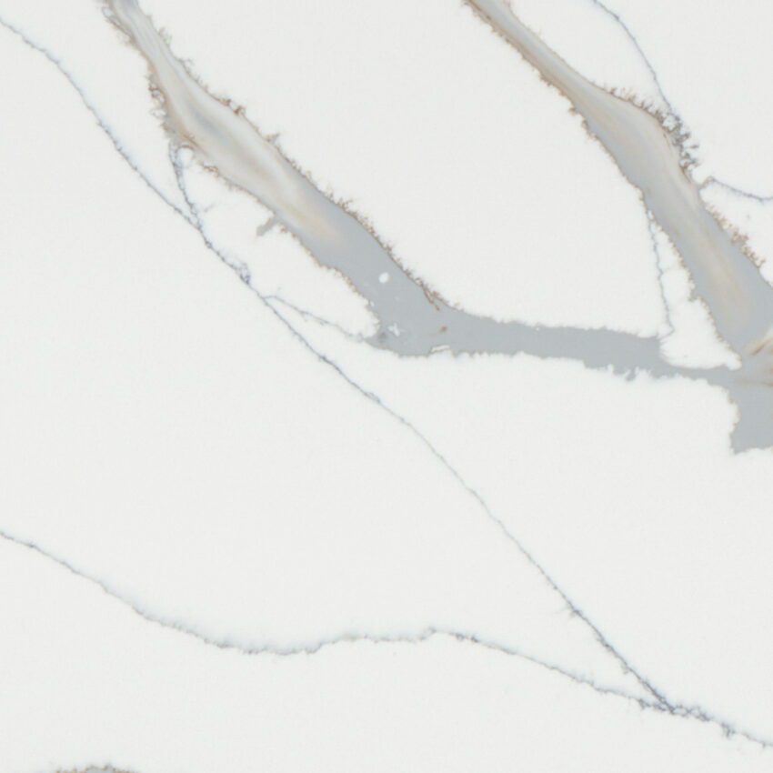 White Calacatta with gray veining (PXQZ220723-1) thumbnail 3