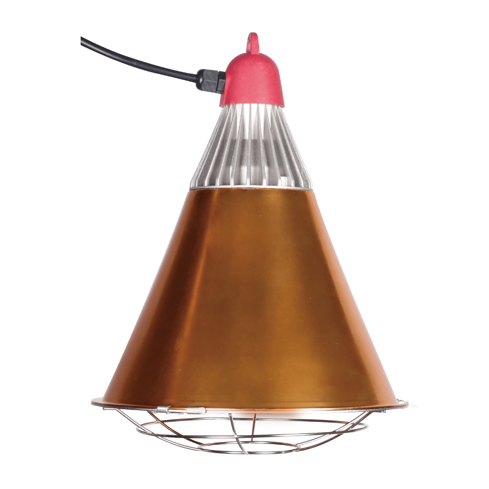 Chao đèn sưởi (đèn úm gia súc/gia cầm) FSL QND-125-2