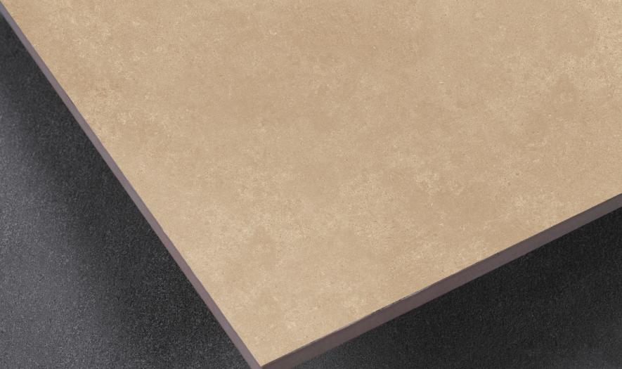 Neutral Gray — Xám trung tính