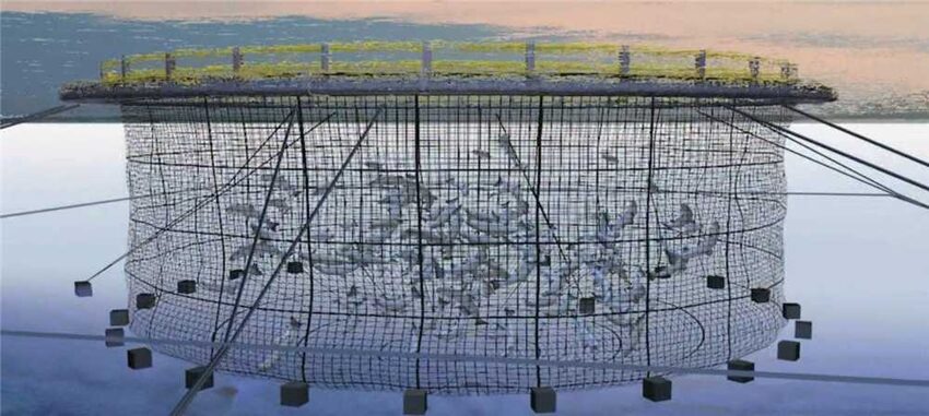 Hệ thống lưới lồng nuôi (AQUACULTURE-128) thumbnail 2