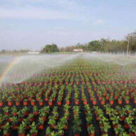 Dây tưới nhỏ giọt gắn mảnh trong (WATER-SAVING-IRRIGATION-24657) thumbnail 5