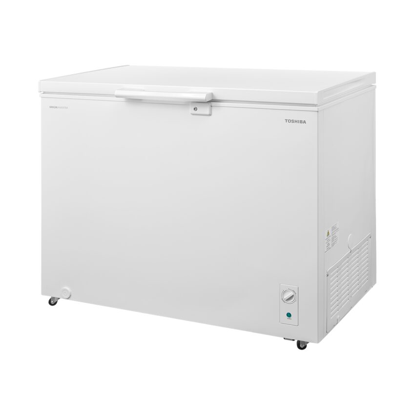 Tủ lạnh Toshiba GR-RC390CM-PMV(01) (GR-RC390CM-PMV(01)) thumbnail 2