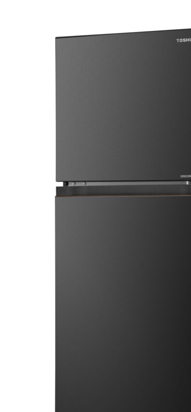 Tủ Lạnh Toshiba NaturePURE 207L GR-RT268WE-PMV(68) (GR-RT268WE-PMV(68)) thumbnail 5