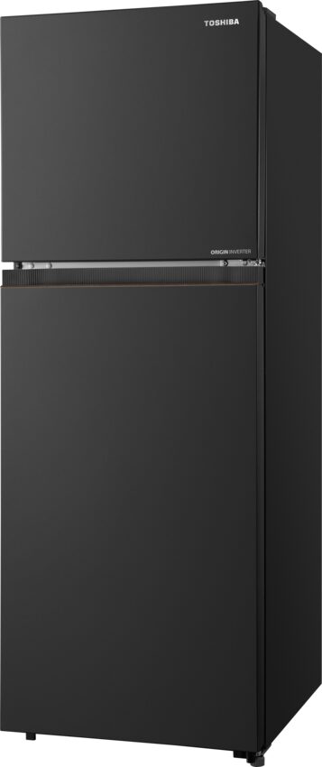 Tủ Lạnh Toshiba NaturePURE 240L GR-RT310WE-PMV(68) (GR-RT310WE-PMV(68)) thumbnail 3