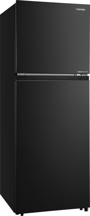 Tủ Lạnh Toshiba NaturePURE 240L GR-RT310WE-PMV(68) (GR-RT310WE-PMV(68)) thumbnail 4