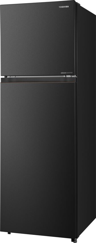 Tủ Lạnh Toshiba NaturePURE 271L GR-RT349WE-PMV(68) (GR-RT349WE-PMV(68)) thumbnail 3