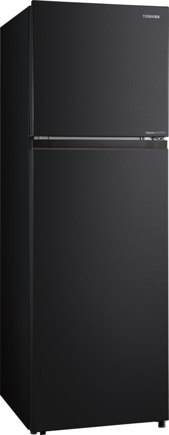 Tủ Lạnh Toshiba NaturePURE 271L GR-RT349WE-PMV(68) (GR-RT349WE-PMV(68)) thumbnail 4