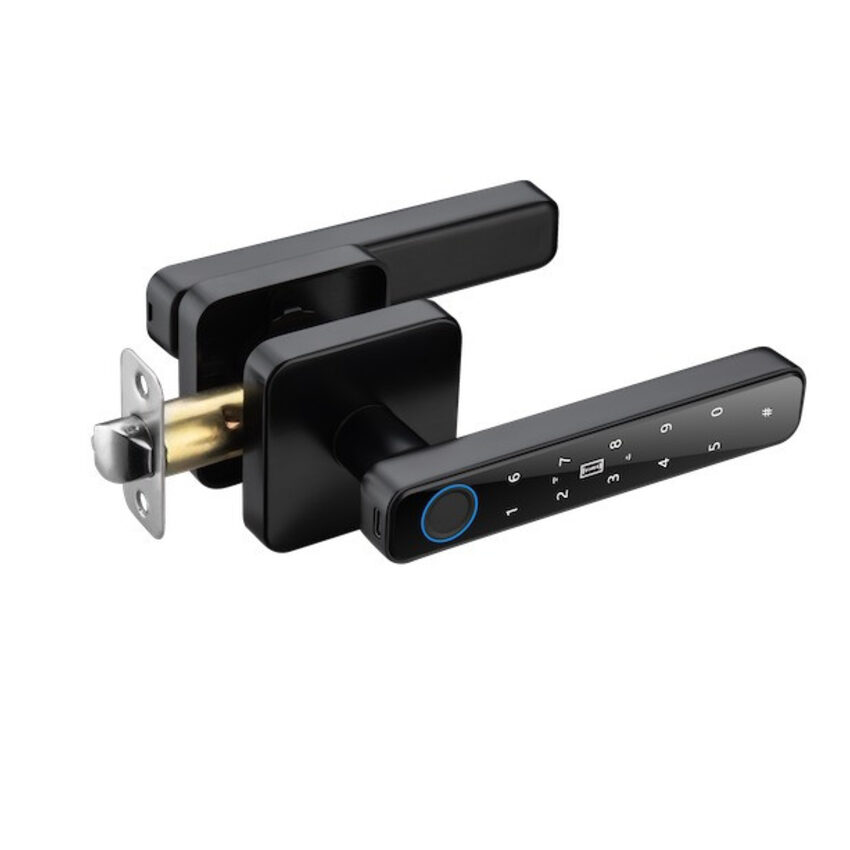 TTLOCK HANDLE - easy install electronic lock (TTLOCK HANDLE - easy install e) thumbnail 2
